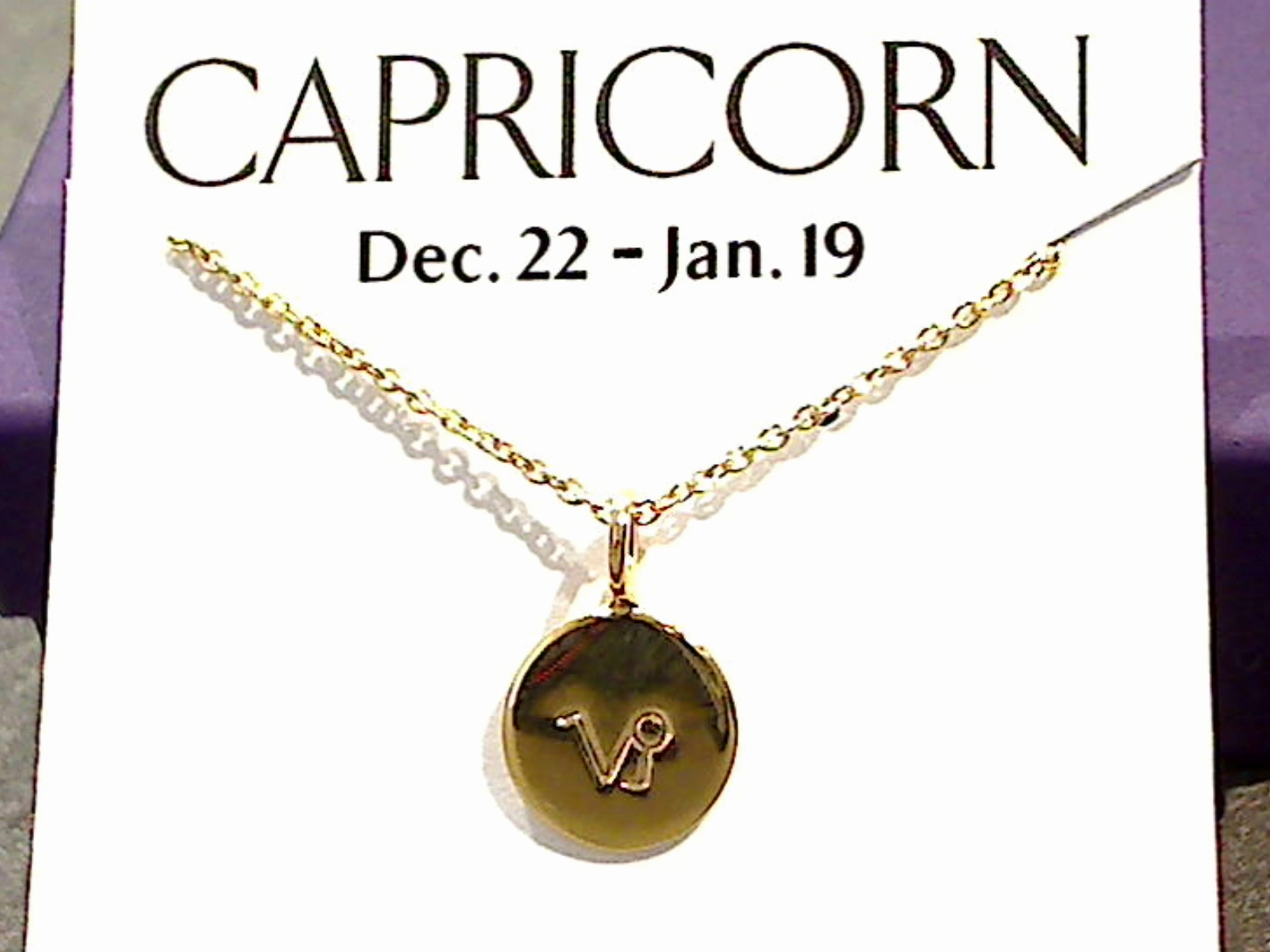 Presenting Adornment Present Piece 16" - 18" Gold Plated Sterling Capricorn Zodiac Necklace
