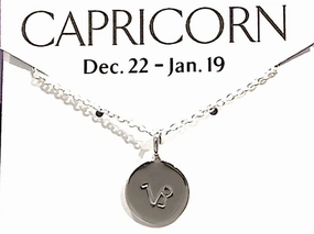 Graduation Gift City Fashion 16" - 18" Sterling Silver Capricorn Zodiac Necklace