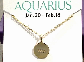 16" - 18" Gold Plated Sterling Aquarius Zodiac Necklace Distinctive Piece Luxury Jewelry