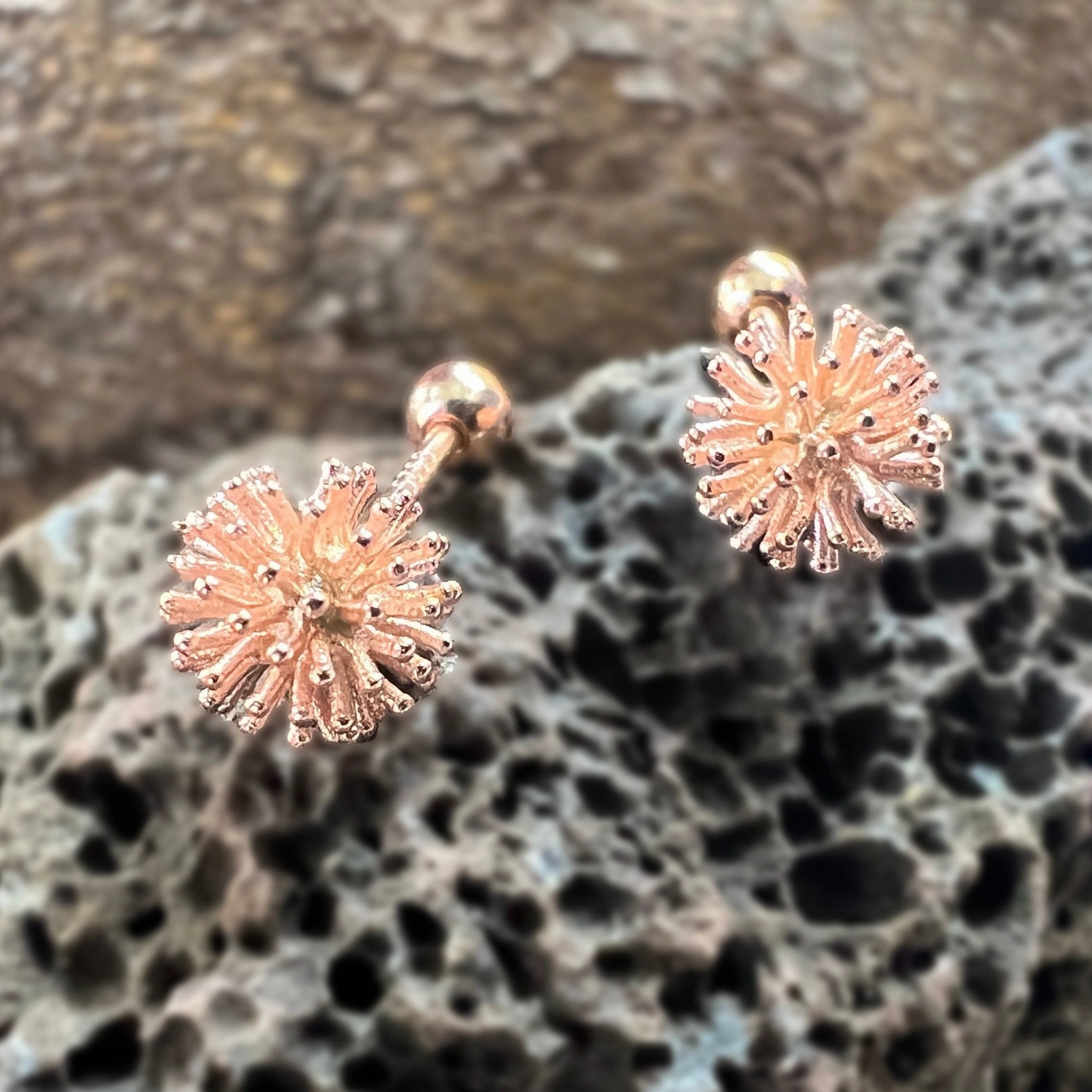 Wana Sea Urchin Earrings Brilliant Creation