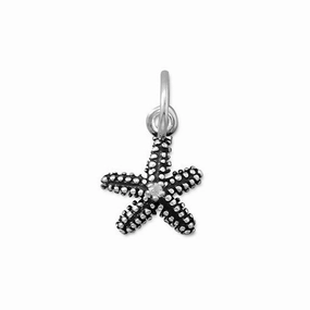 Casual Gift Starfish Charm with Cubic Zirconia Accent, Antiqued Sterling Silver