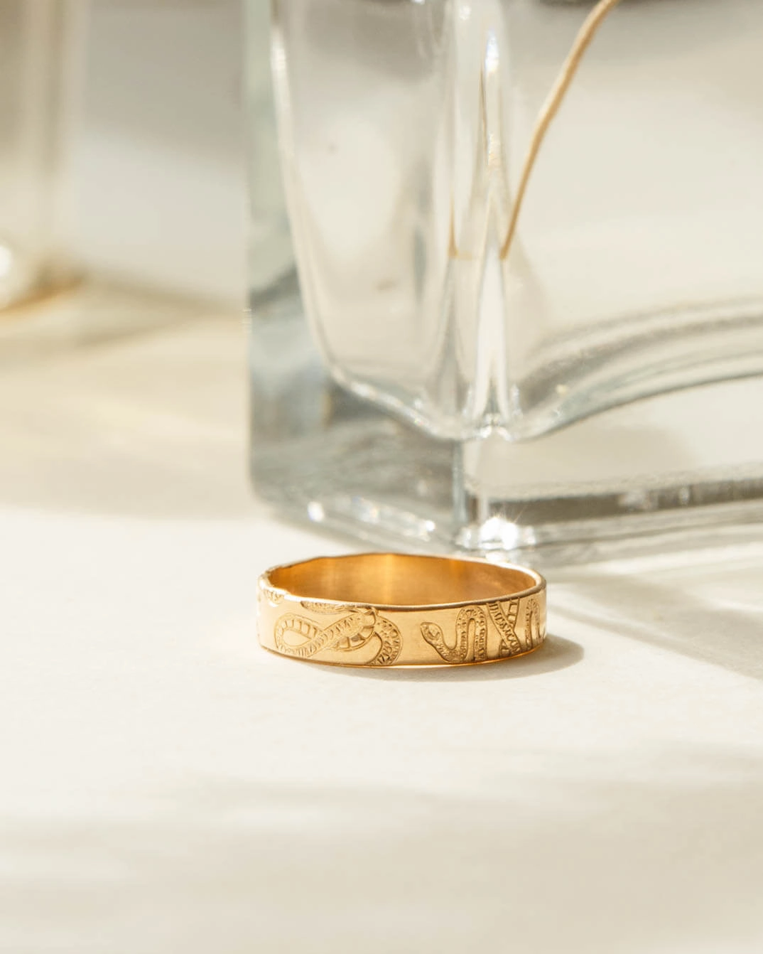 Snake Meuse Band Gentle Spark