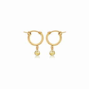 Daytime Piece Night Piece Dee Berkley Round Shape Citrine Small Hoop Earrings in Yellow Gold Filled