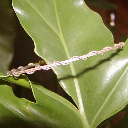 Unlimited Mixes Entire Fusions Sterling Silver Thin Wire Wrapped Stackable Bracelet  SSwa