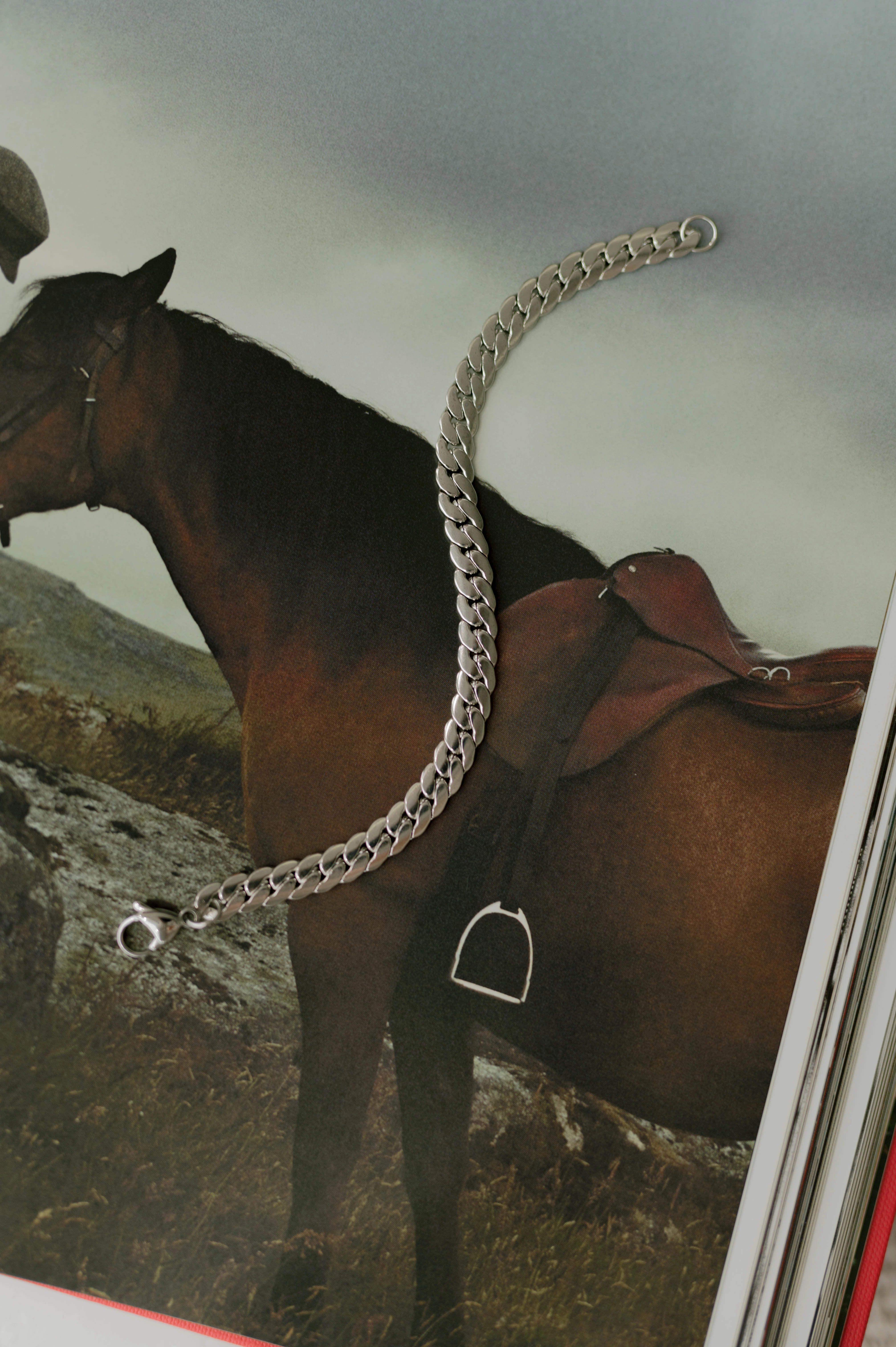 Flat Snake Bracelet ?C Silver Heavenly Blends All-Inclusive Combinations