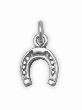 All Day Spark Timeless Shine Craftwork Small Horseshoe Charm Sterling Silver