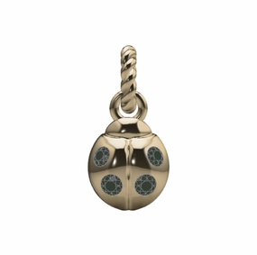 Graceful Feature Ladybug Charm