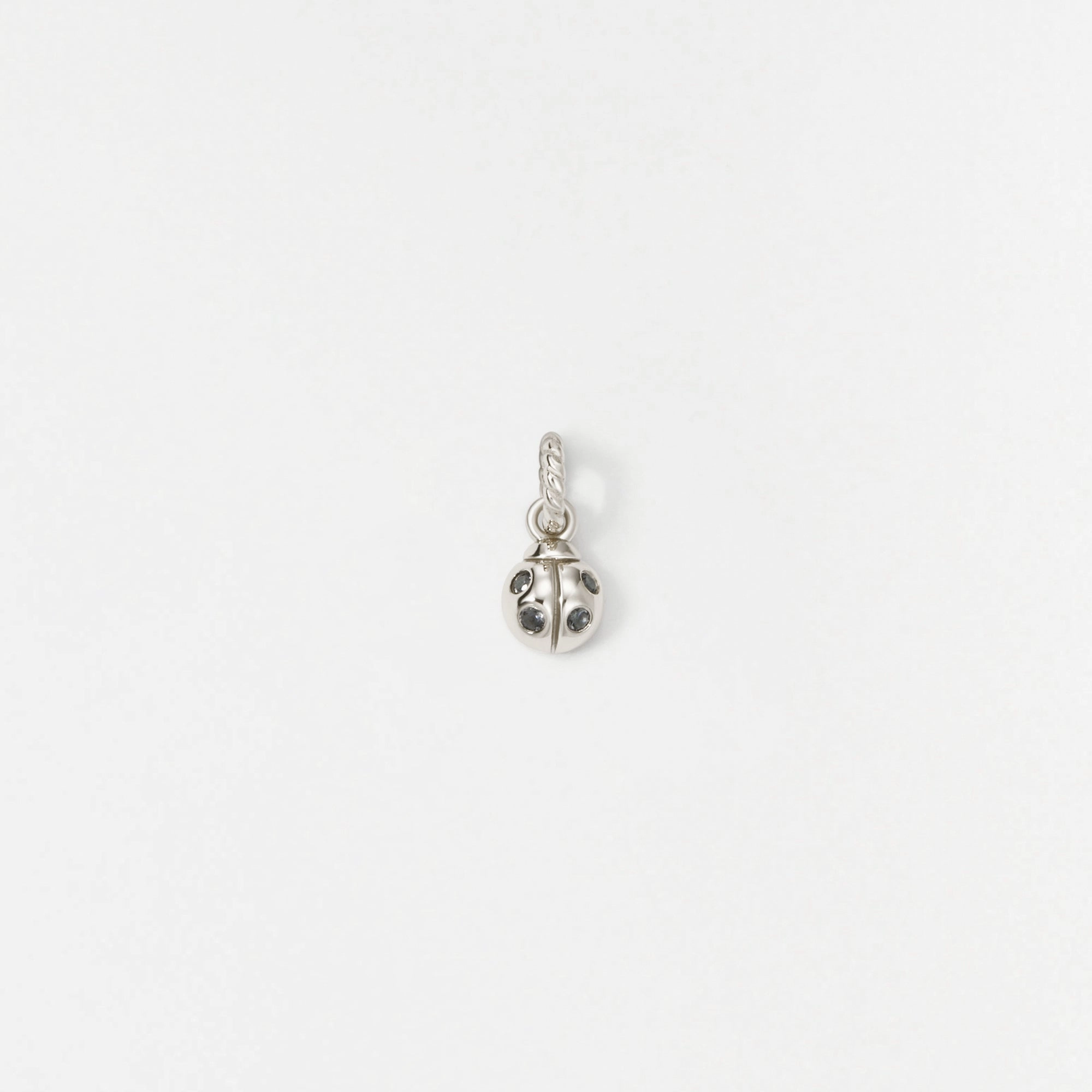 party look Ladybug Charm