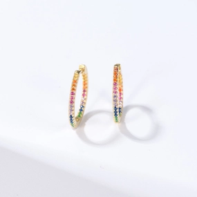 Premium Quality Pave Rainbow Daily Hoops Silver Earrings - Medium