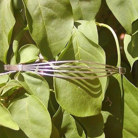 Sterling Silver Simple 4-Strand Wire Wrapped Bracelet  SSSS Open Cosmic Vibe