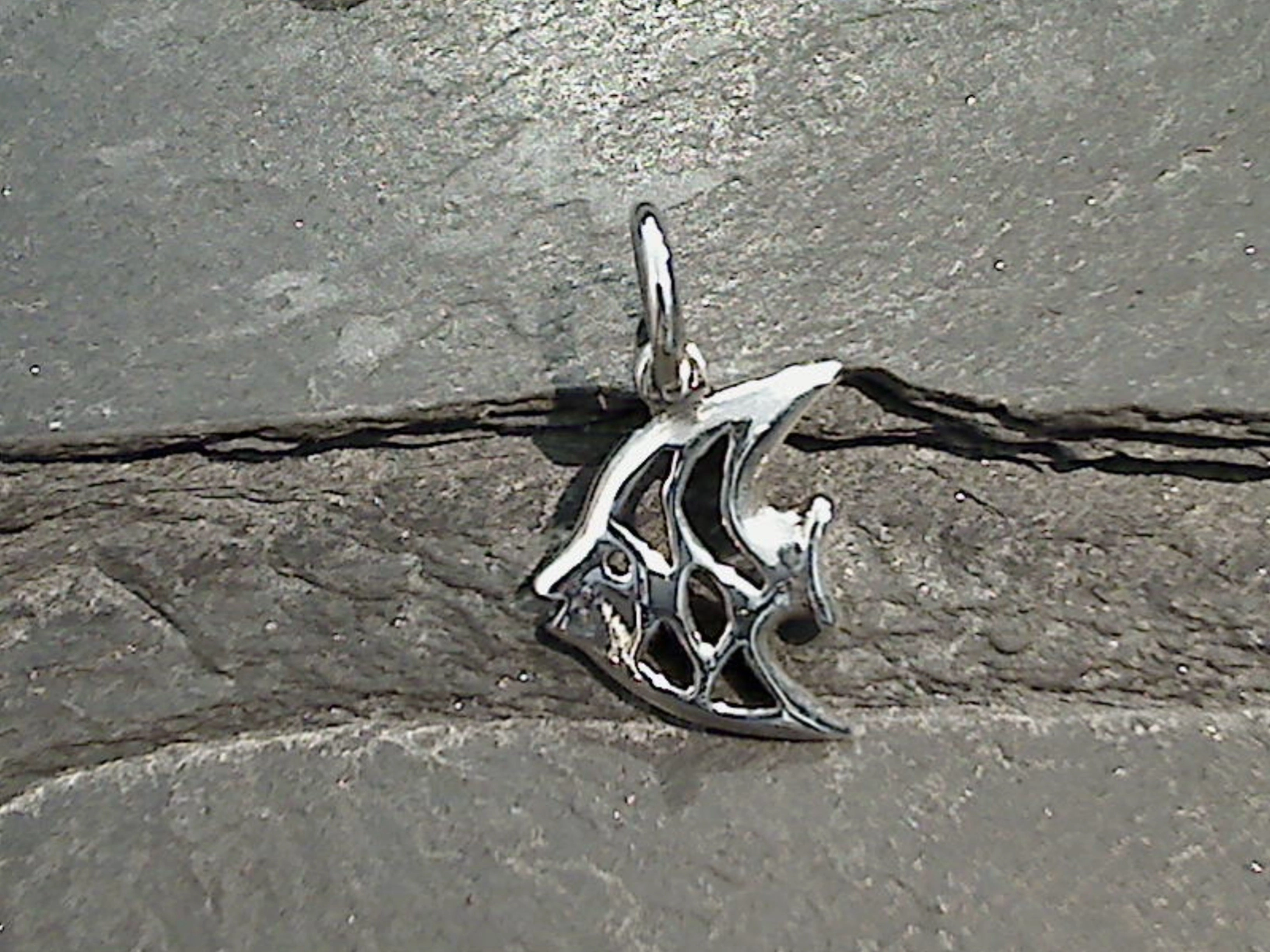 Sterling Silver Small Angel Fish Charm / Pendant Gleaming Shine