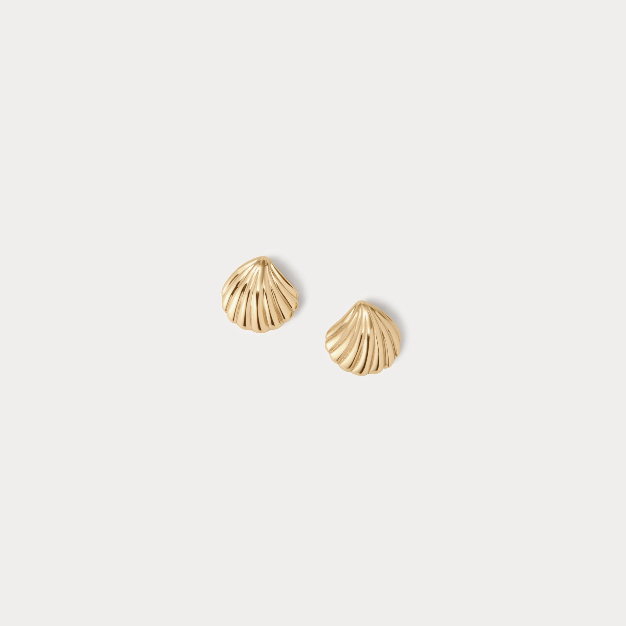 Baby Seashell Studs Modern Touch Highlight Accent