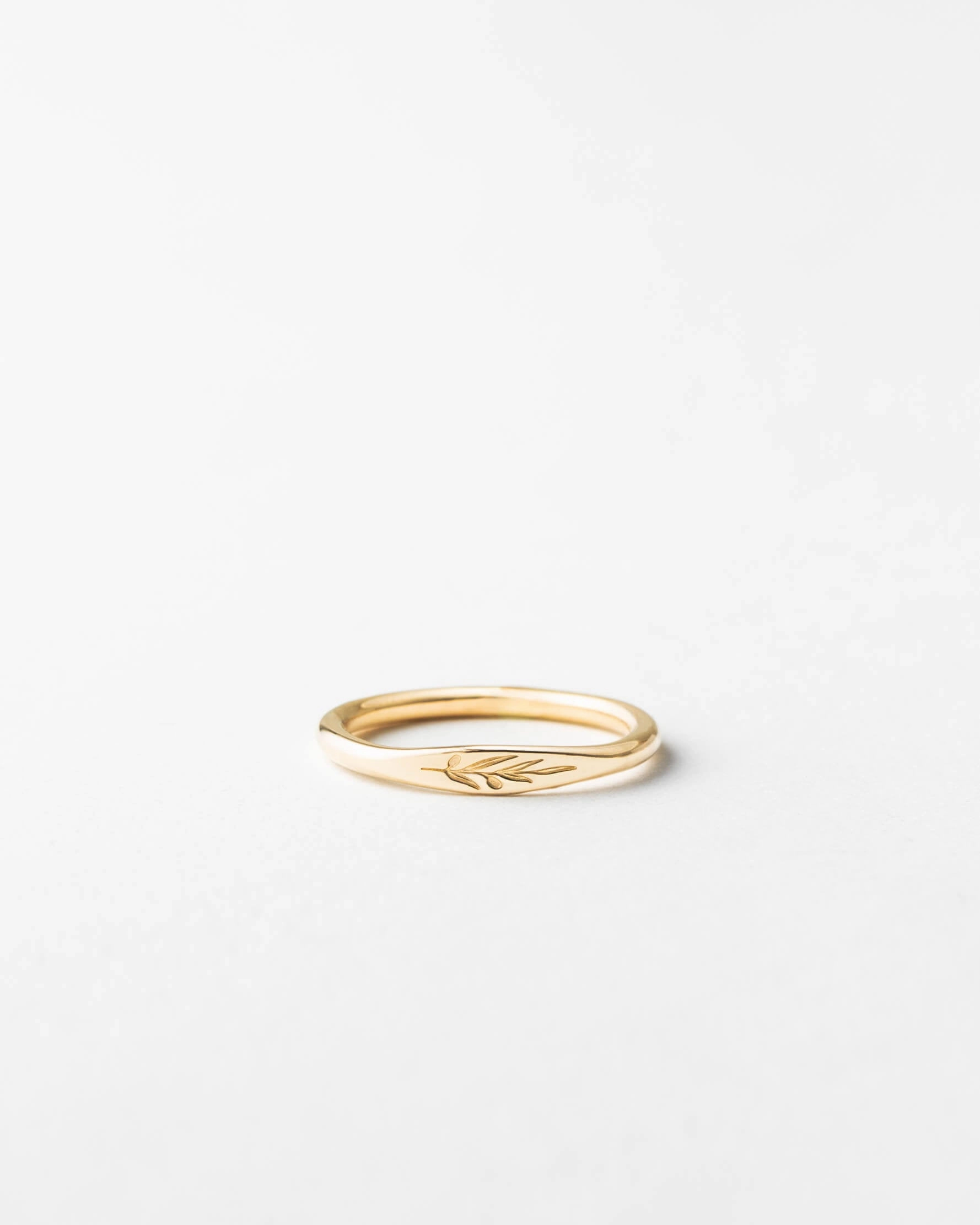 Olive Branch Signet Shiny Jewelry Touch