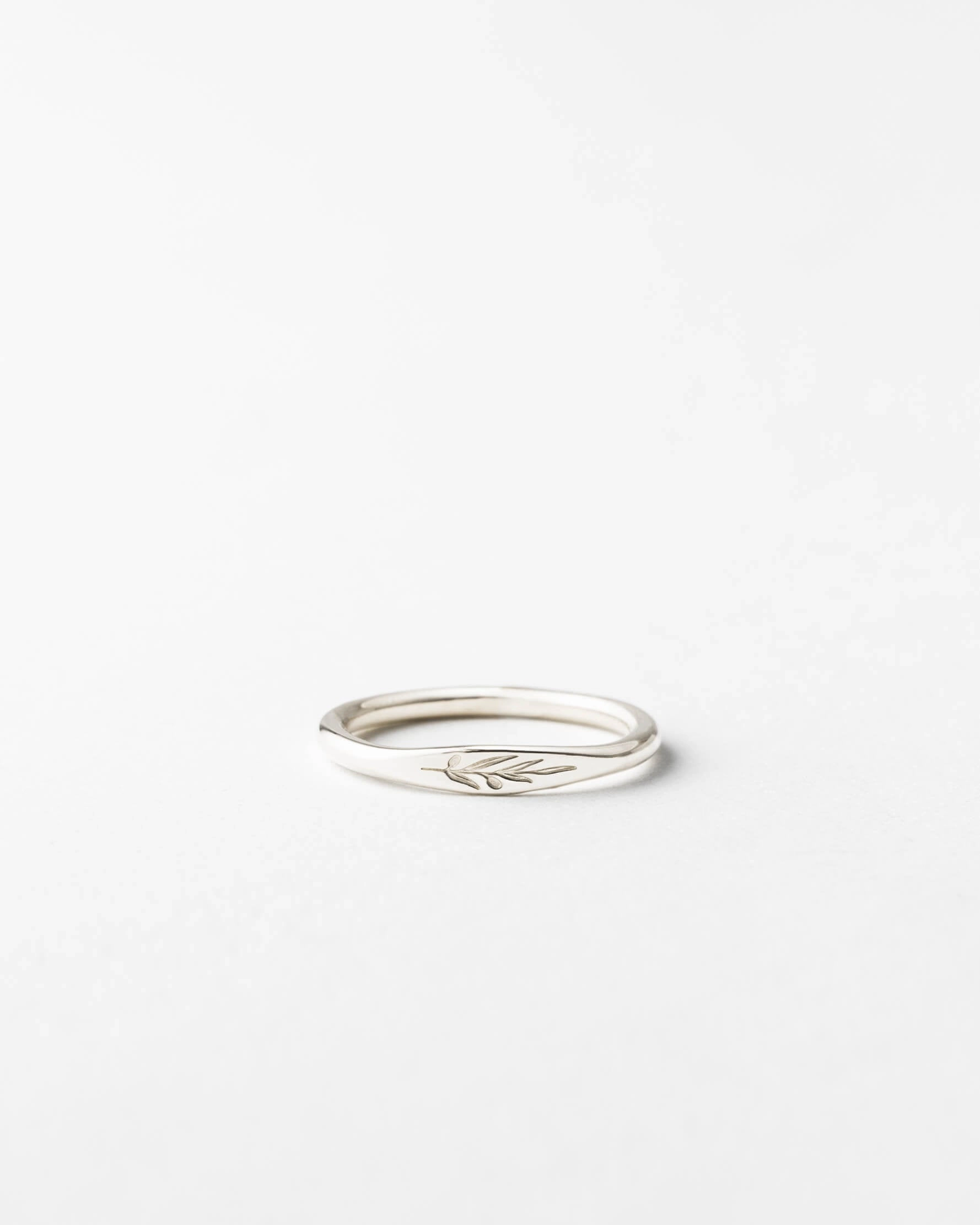 holiday season Olive Branch Signet