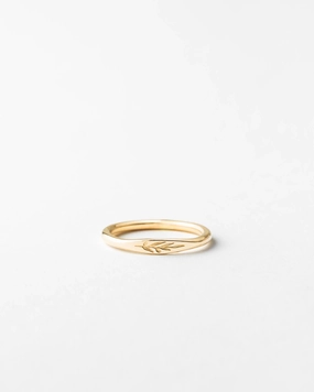 Olive Branch Signet Shiny Jewelry Touch