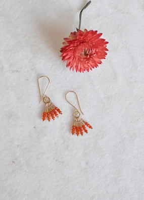Rustic Embellishment Fashionable Feature Carnelian Fringe Earrings