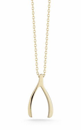 Delicate Present Wishbone Pendant Necklace