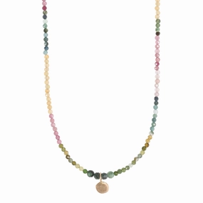Engagement Surprise Dahlia Necklace - 14k Gold   Watermelon Tourmaline