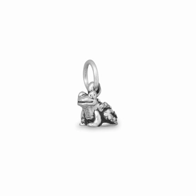 Toad Frog Charm Sterling Silver Antiqued Finish Impressive Finish Night Appeal