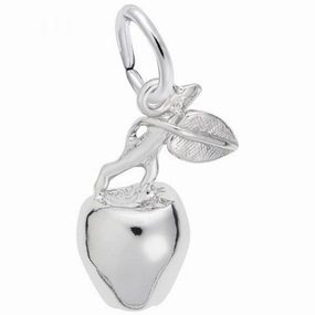 Apple Charm Dynamic Accent Dazzling Accent